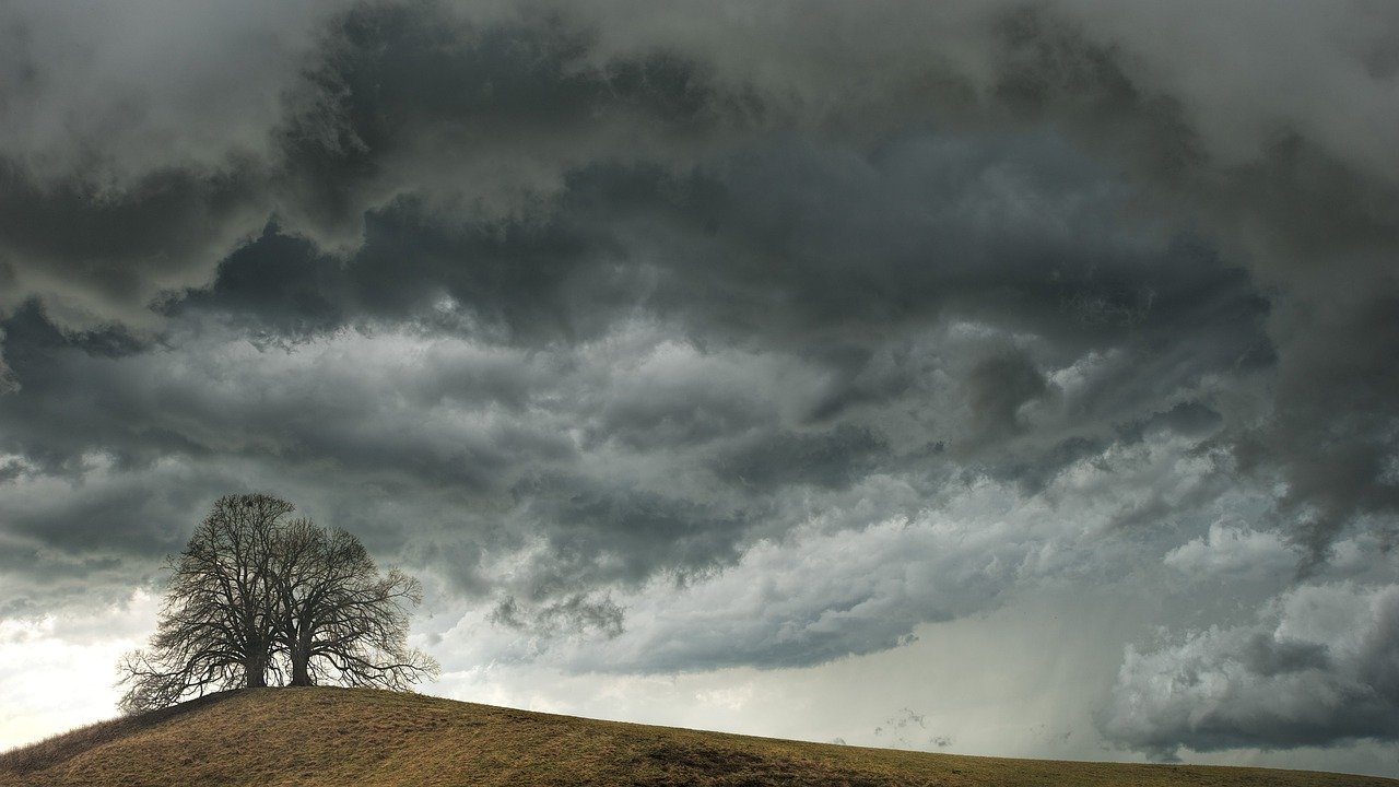 Dein Hund hat Angst vor Gewitter? So kannst Du schnell helfen!
