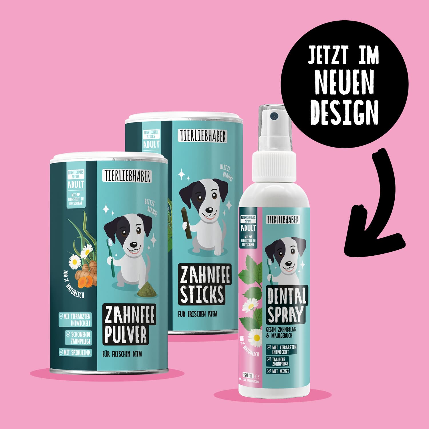 Zahnfee Bundle XL