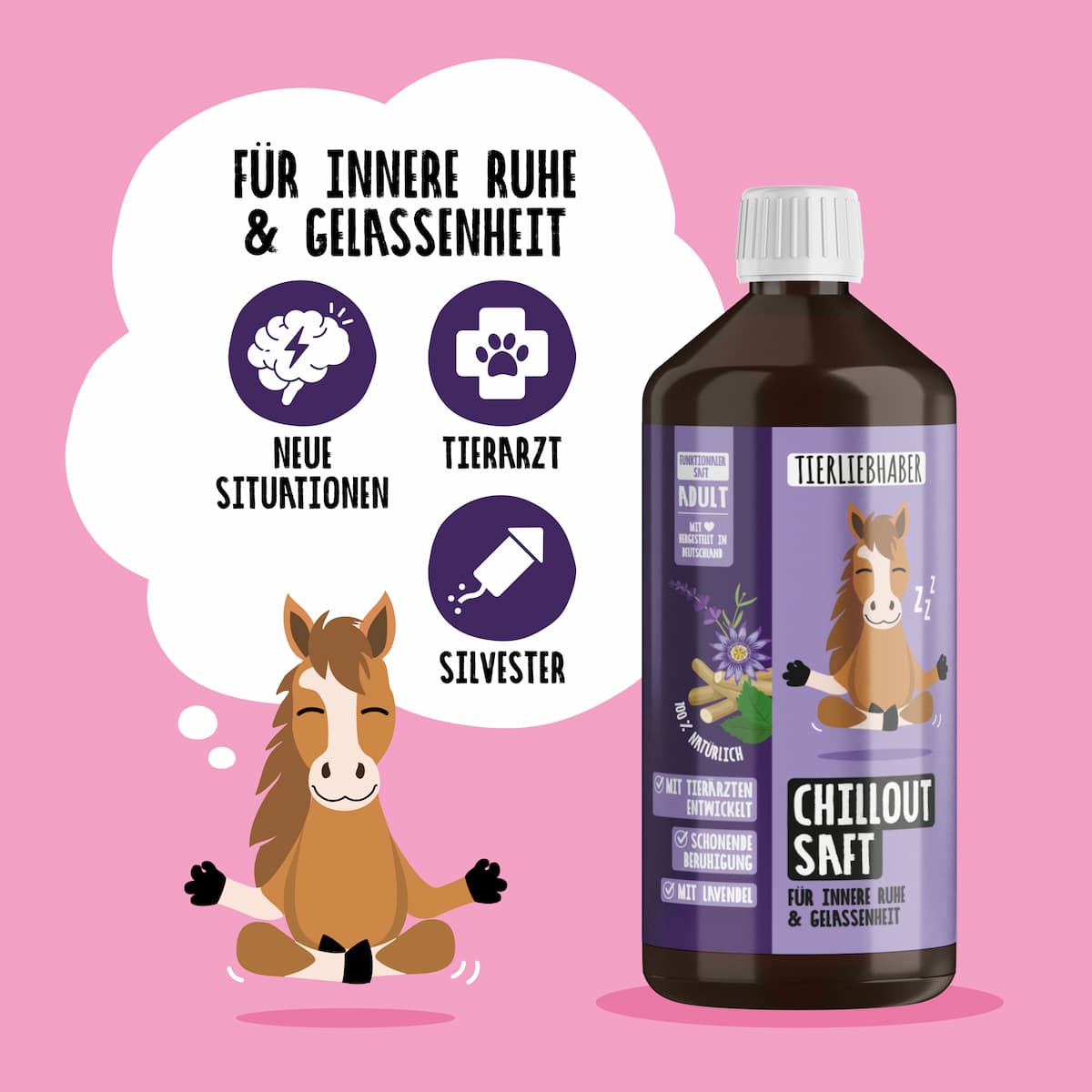 Chilloutsaft Pferd 6er Bundle