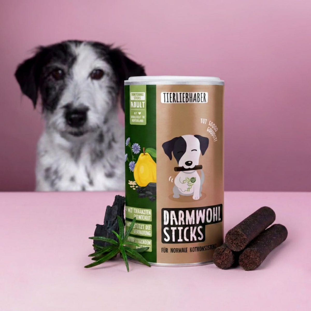 Darmwohl Sticks