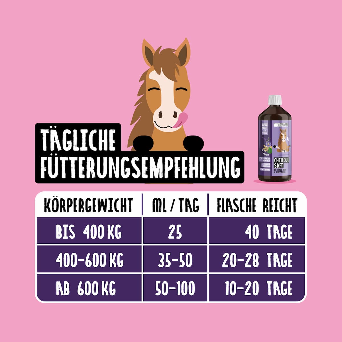 Chilloutsaft Pferd 6er Bundle