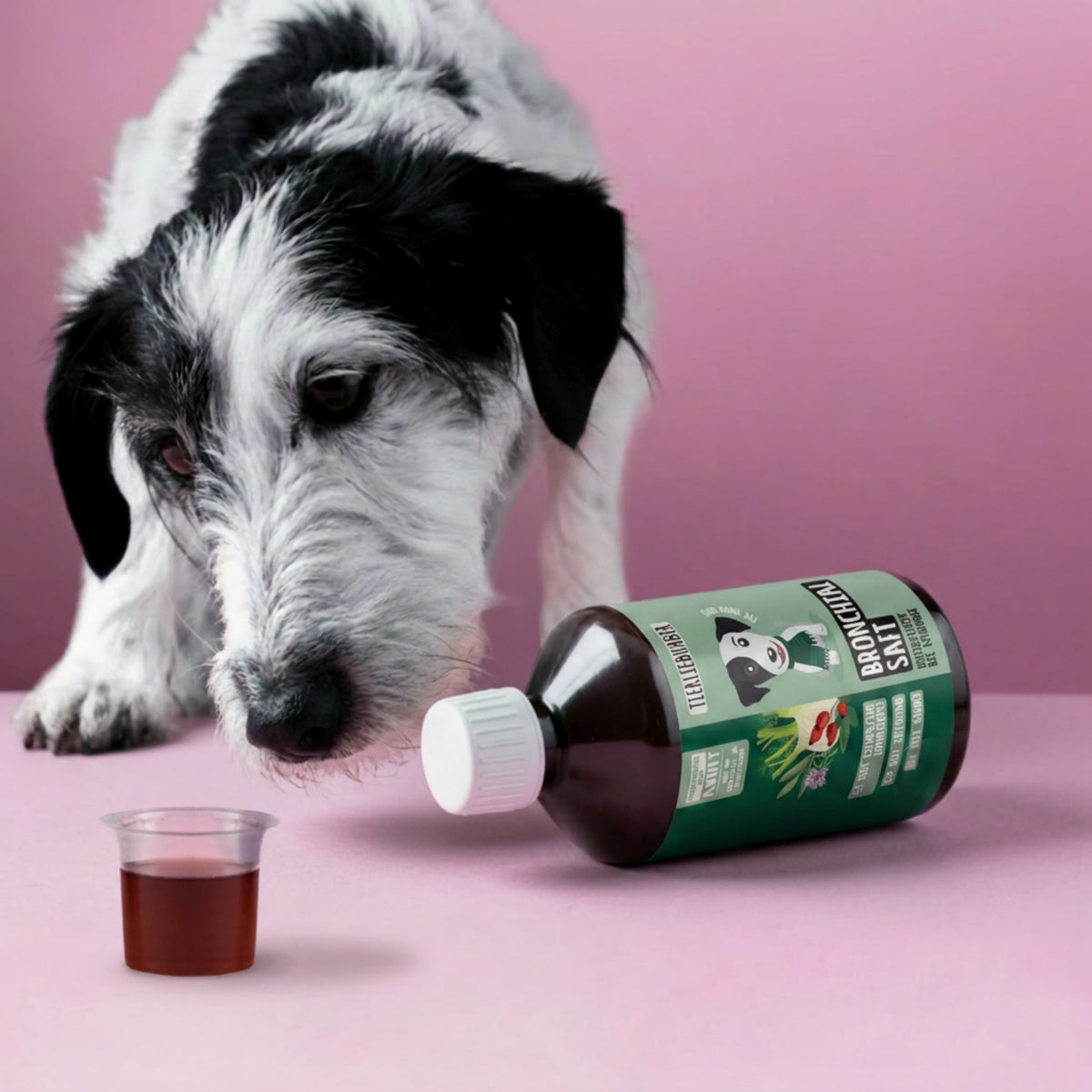Bronchialsaft für Hunde