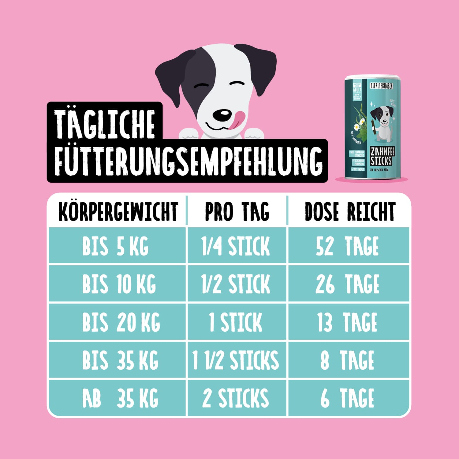 Zahnfee Bundle XL