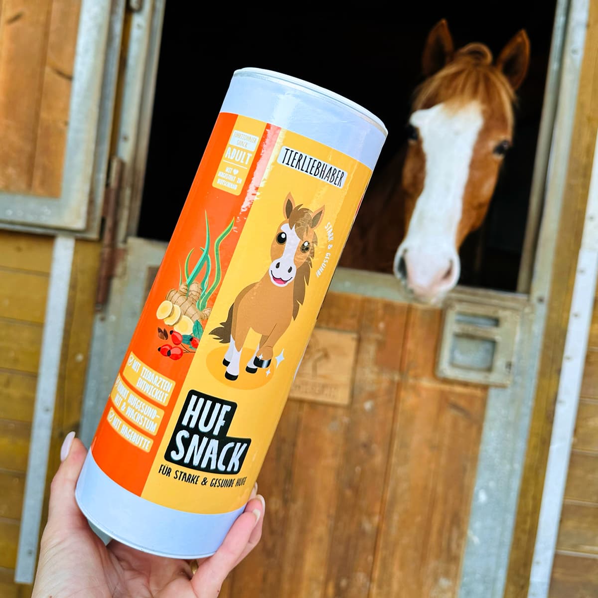 Hufsnack Pferd
