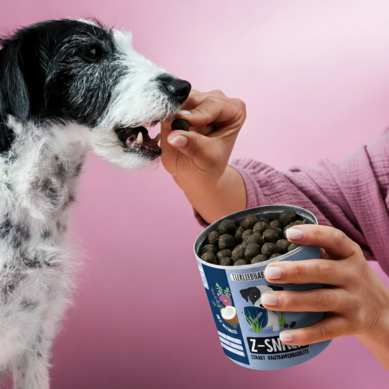 Z-Snack