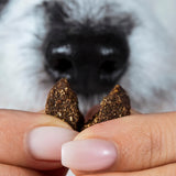 Chillout Drops 6er Bundle