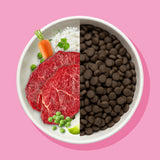 Trockenfutter Rind mit Reis