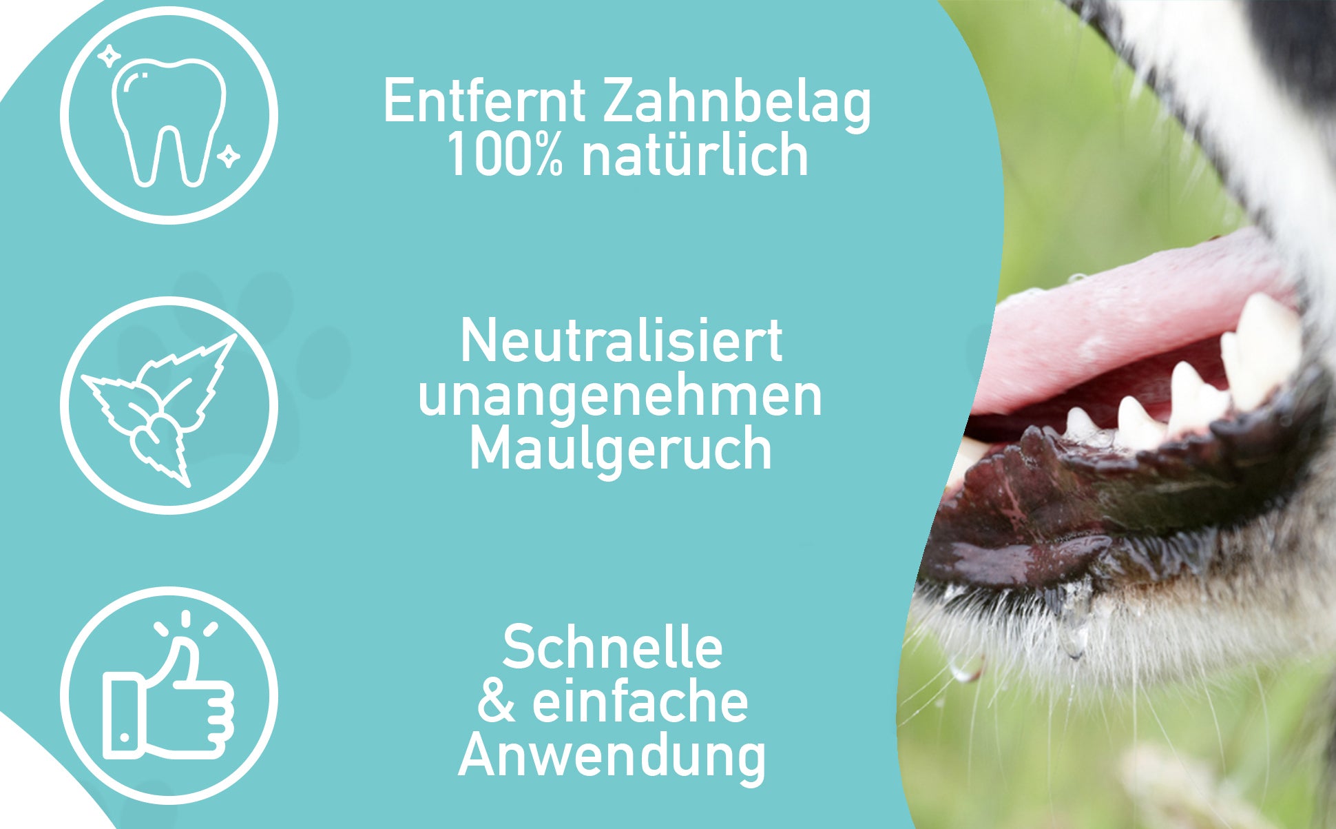 So funktioniert´s:
