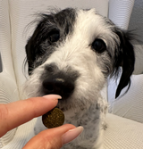 Harn- und Nieren Drops