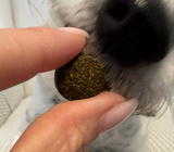 Harn- und Nieren Drops