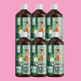 Bronchialsaft Pferd 6er Bundle
