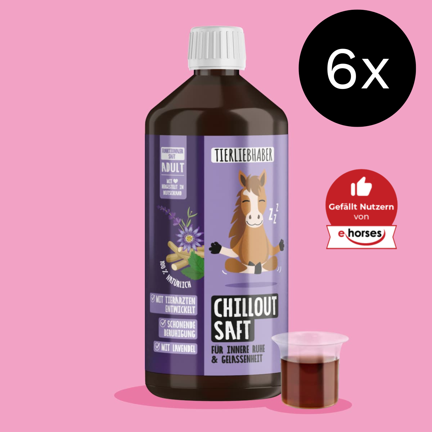 Chilloutsaft Pferd 6er Bundle