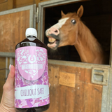 Chilloutsaft Pferd 6er Bundle