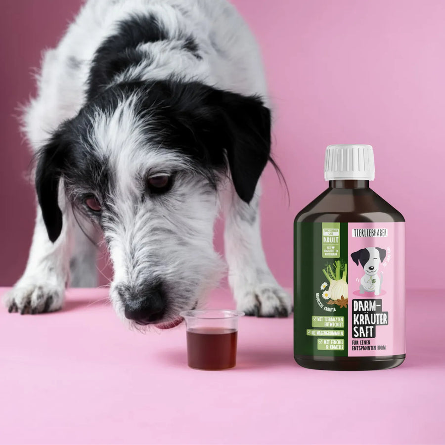 Darmkräuter Saft Darmkräuter Saft