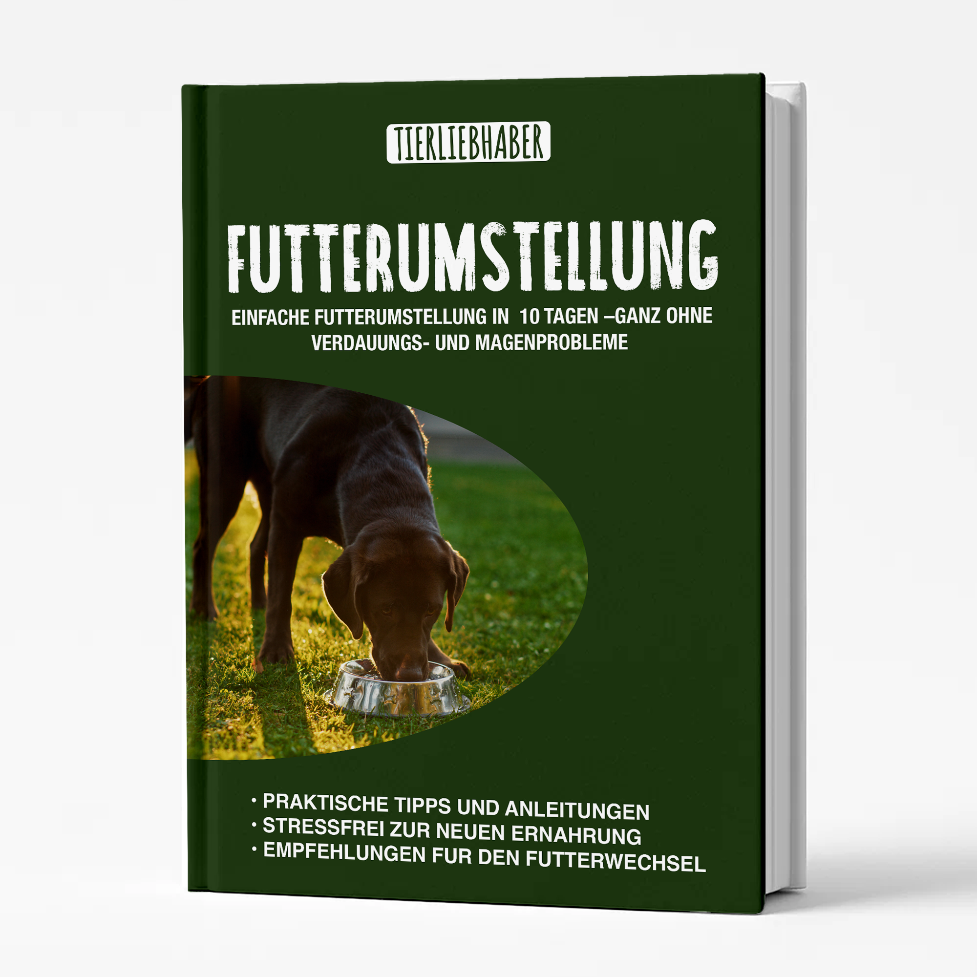 Ratgeber Futterumstellung (-50% Rabatt)