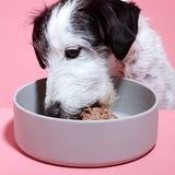 Nassfutter Ente mit Reis 800g