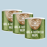 Sodbrennen Kur für Hunde