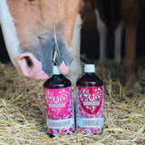 Sehnen & Gelenke Bundle Pferd