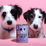 Nassfutter Kaninchen mit Gemüse 400g