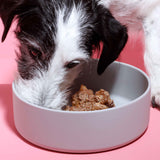 Nassfutter Kaninchen mit Gemüse 400g