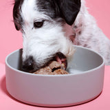 Nassfutter Lamm mit Apfel 400g