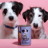 Nassfutter Pferd mit Kartoffel 400g