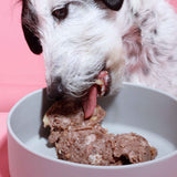 Nassfutter Probier Paket 800g