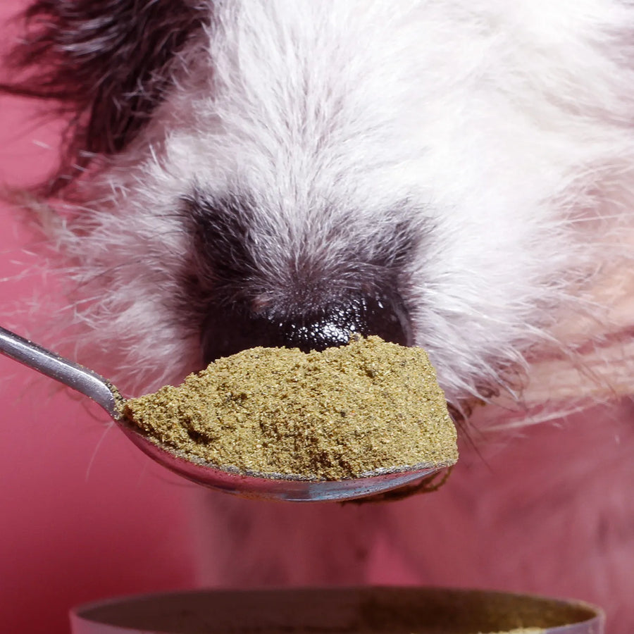 Prä & Probio Kur Prä & Probio Kur