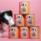 Nassfutter Pute mit Reis 800g