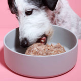 Nassfutter Pute mit Reis 800g