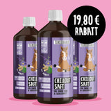 Chilloutsaft Pferd