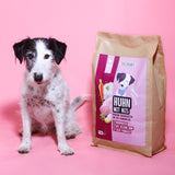 Trockenfutter Huhn mit Reis