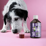 Chillout Saft für Hunde