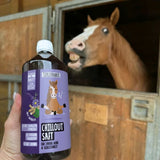 Chilloutsaft Pferd 6er Bundle