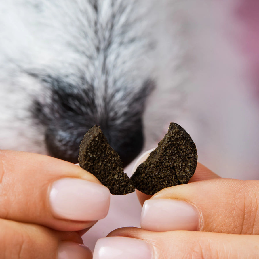 Analdrüsen Drops Analdrüsen Drops