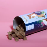 XL Schutz Paket Pferd