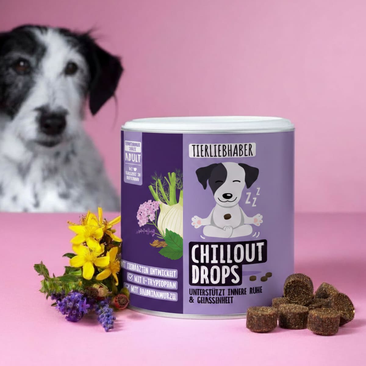 Chillout Bundle