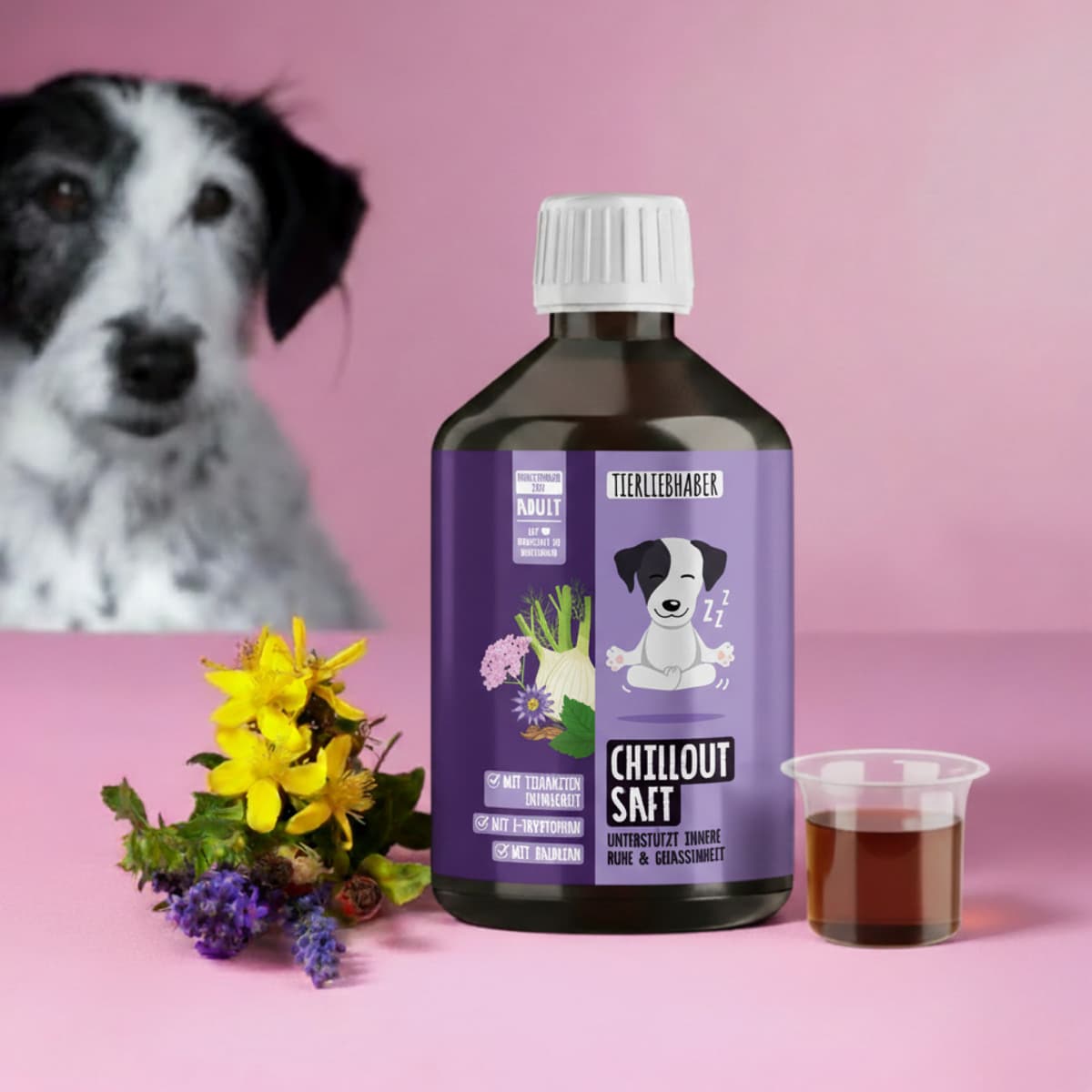 Chillout Saft für Hunde