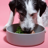 Nassfutter Ziege mit Pastinake 800g