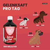 Gelenk Saft