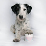 Pfoten- & Nasenbalsam gratis