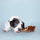 Rinderkopfhautplatte