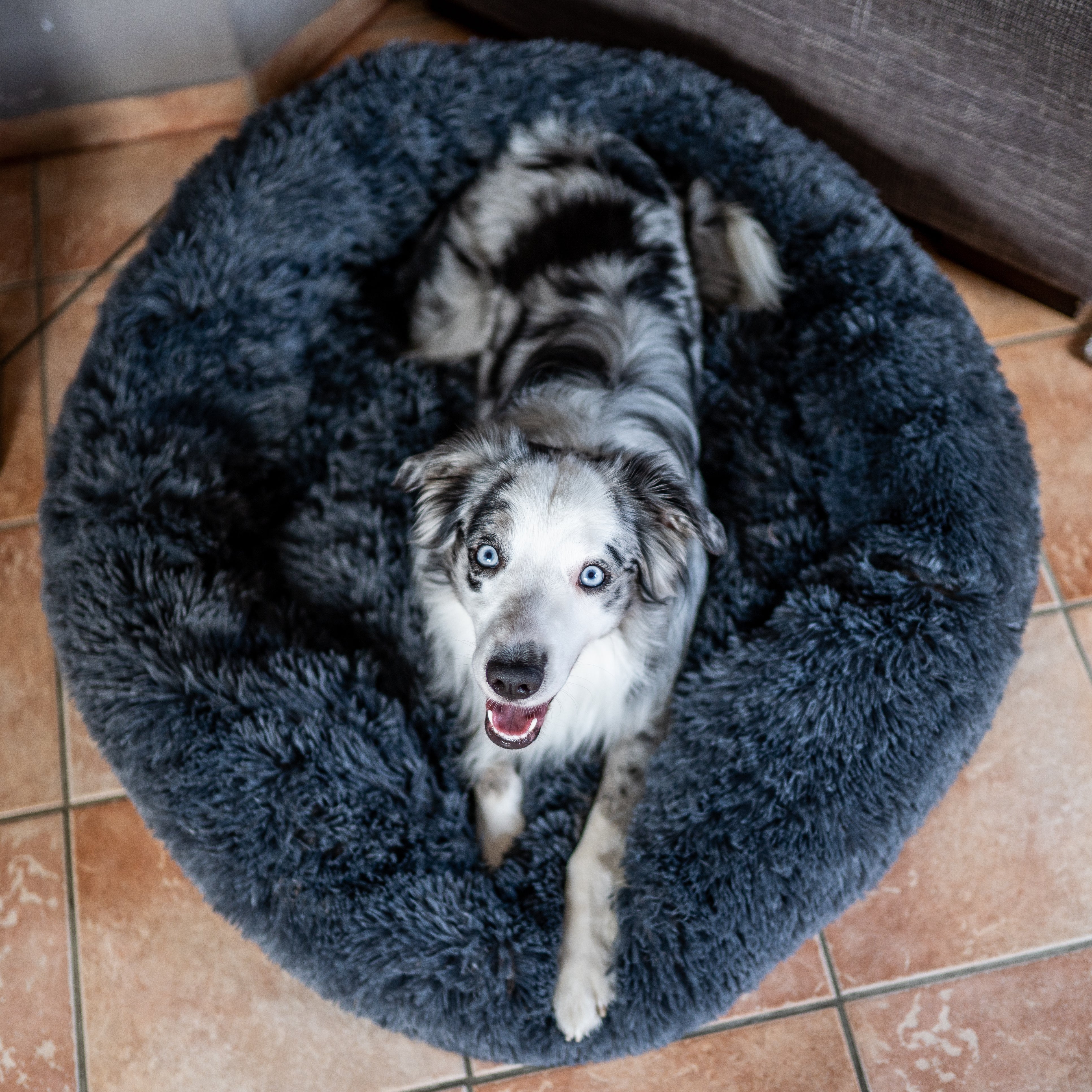 Kuschelbett