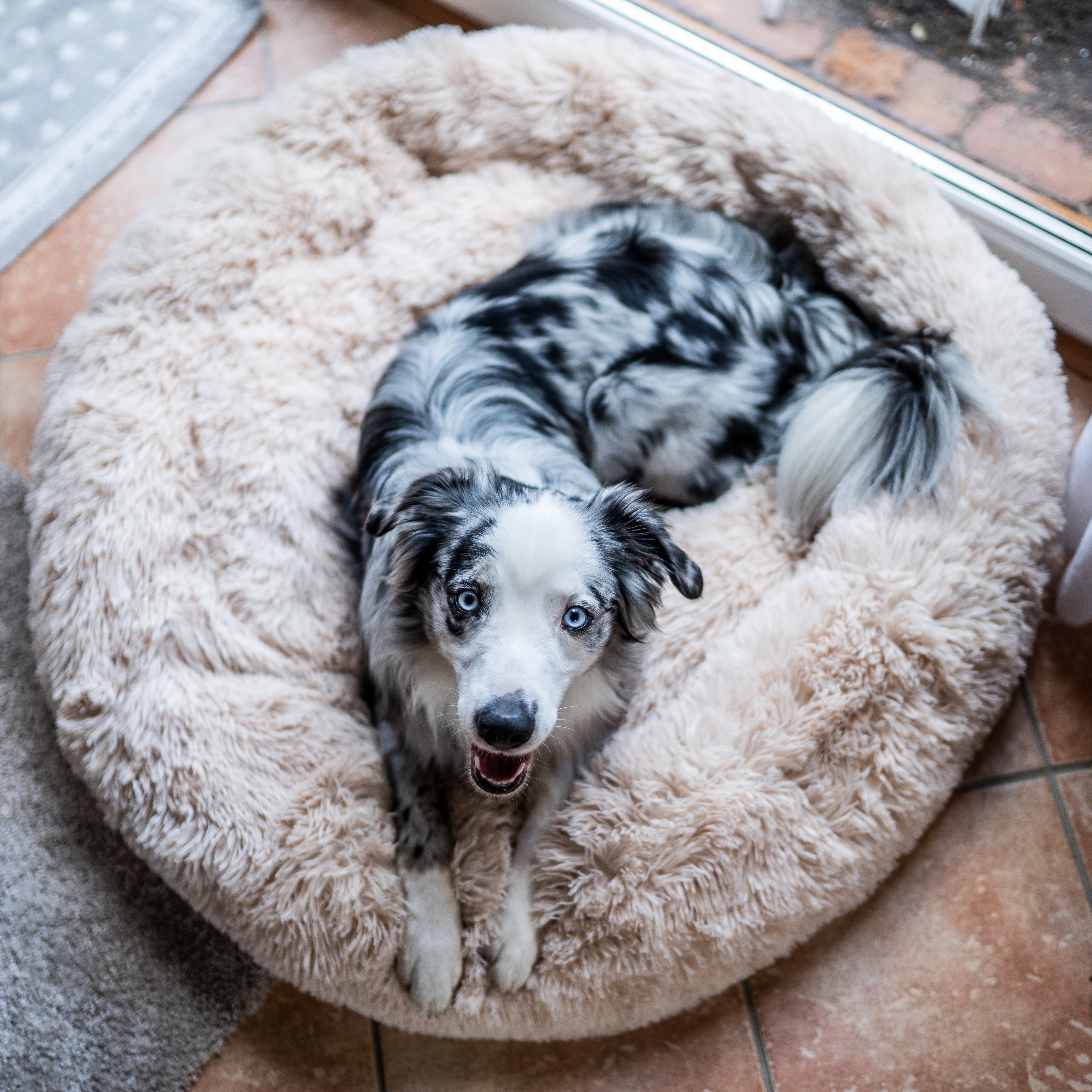 Kuschelbett