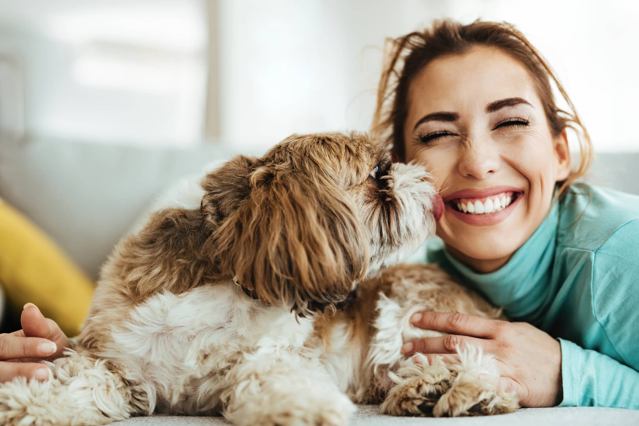 9 Gründe warum dein Hund dich „abschleckt“!