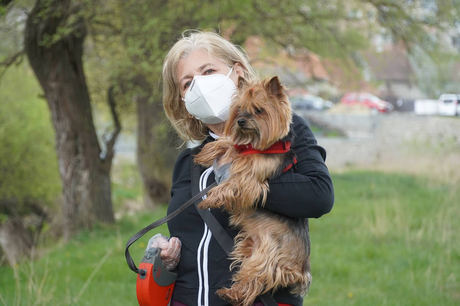 Coronavirus: 5 Fakten die du als Hundebesitzer jetzt wissen solltest
