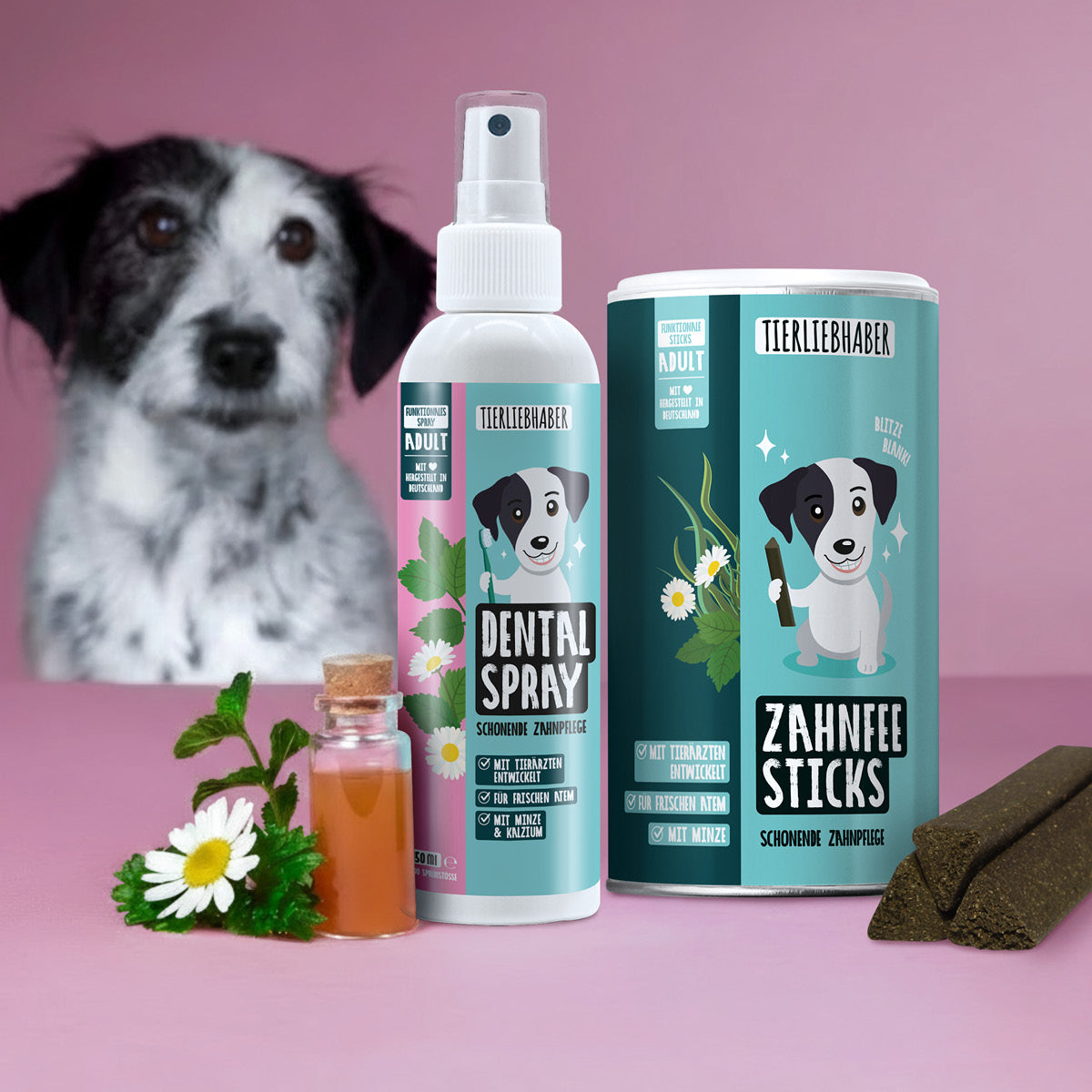 Zahnpflege Bundle