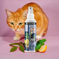 Z-Spray - Katze