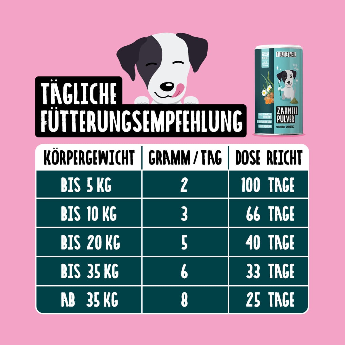 Zahnfee Bundle XL
