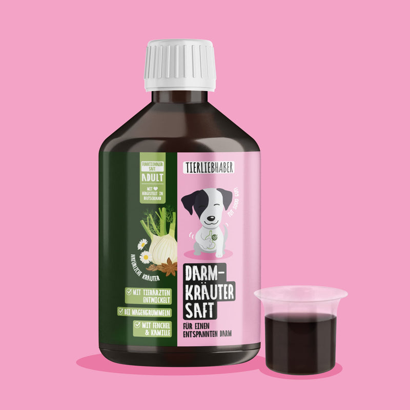 Darmkräuter Saft